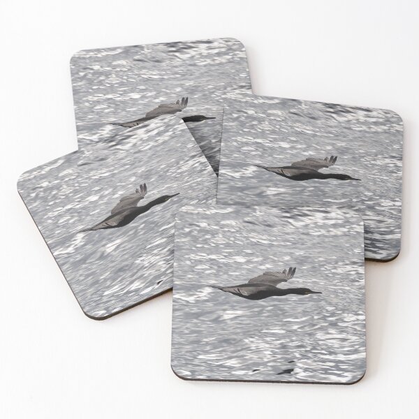 Item preview, A shag gliding passed Cantick Head on Hoy. designed and sold by Alan Mackinnon.