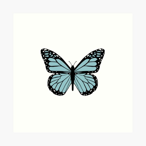 "Light Blue Monarch Butterfly" Art Print for Sale by paulinavu Redbubble