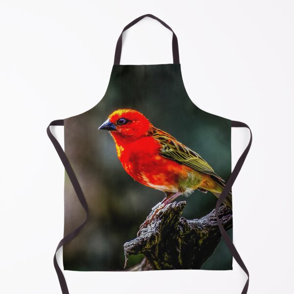 Item preview, Little Red Fody. designed and sold by Gary Osborne.