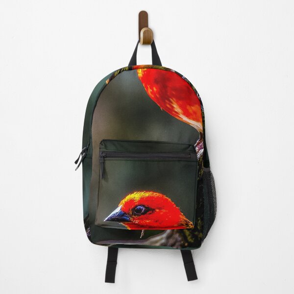Item preview, Little Red Fody. designed and sold by Gary Osborne.
