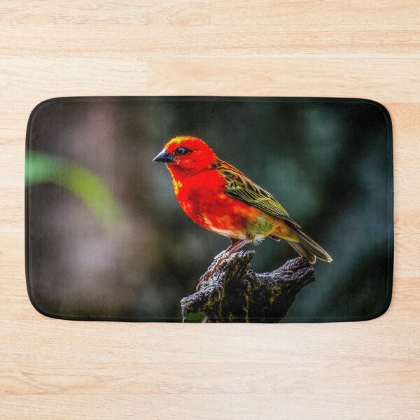 Item preview, Little Red Fody. designed and sold by Gary Osborne.