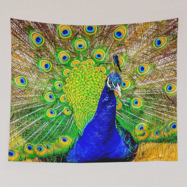 Item preview, Show off designed and sold by Gary Osborne.