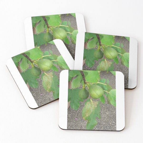 Item preview, Figs, fig tree, nature designed and sold by Sternchen2789.