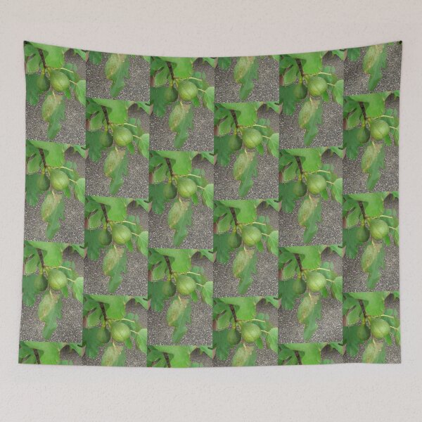 Item preview, Figs, fig tree, nature designed and sold by Sternchen2789.