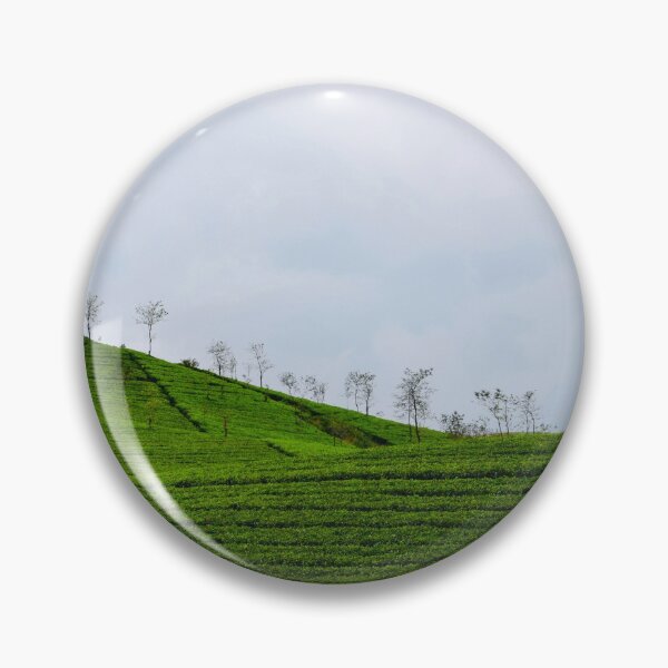Aperçu de l'œuvre Plantation de café vert et ciel bleu créée et vendue par Allenapparels.