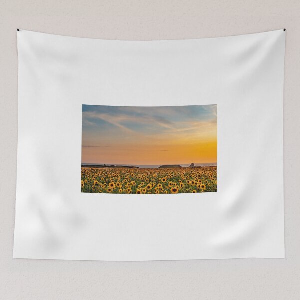Item preview, Sun Flowers at Rhossili designed and sold by RCMPhotography.