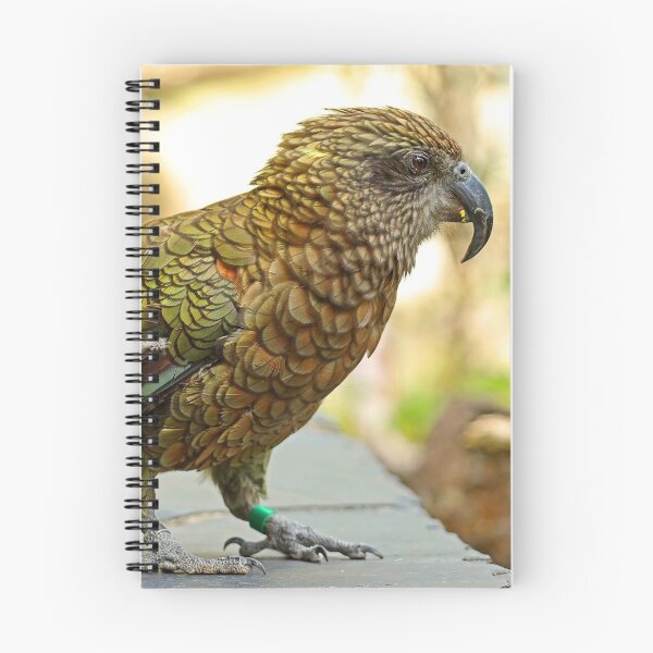 Item preview, Kea, New Zealand Parrot designed and sold by rltbevan.