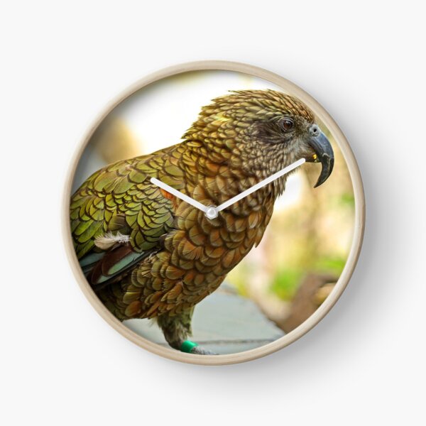 Item preview, Kea, New Zealand Parrot designed and sold by rltbevan.