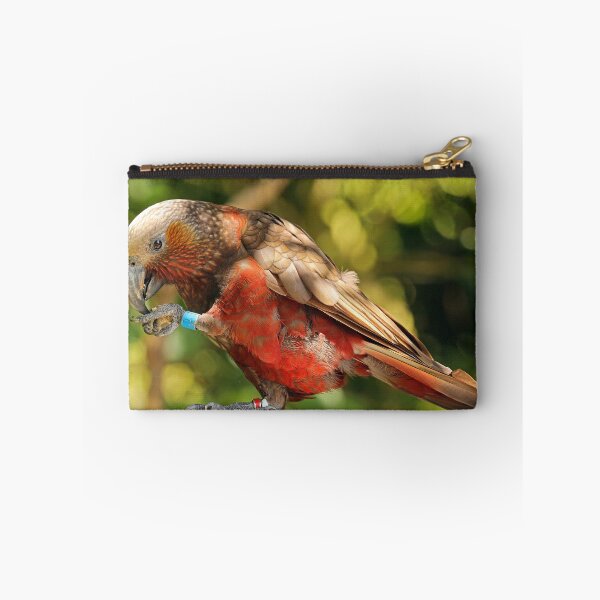 Item preview, Kaka, New Zealand Parrot designed and sold by rltbevan.