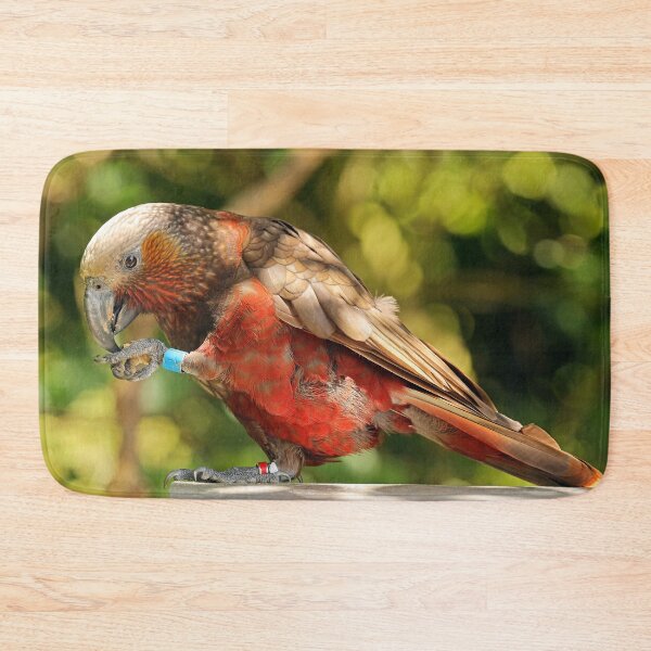 Item preview, Kaka, New Zealand Parrot designed and sold by rltbevan.