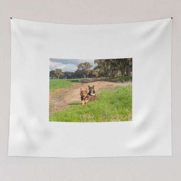 Item preview, Ross & Missy......Young Kelpies..... designed and sold by mitpjenkeating.