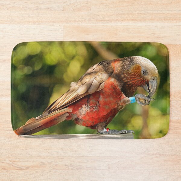Item preview, Kaka, New Zealand Parrot designed and sold by rltbevan.