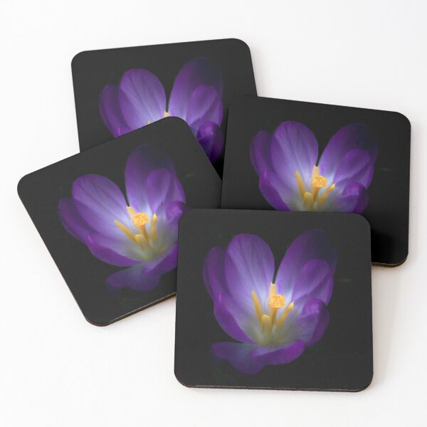 Item preview, Crocus emerging designed and sold by carlyhodges.