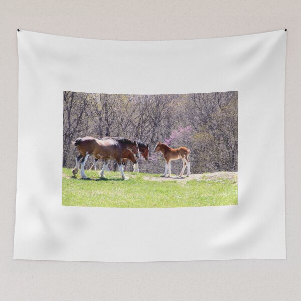Item preview, Clydesdale designed and sold by Carol Bock.