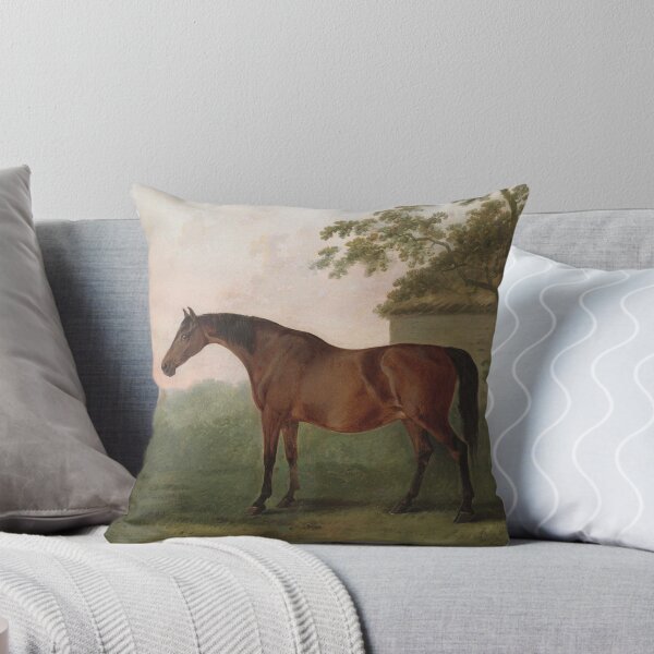 Artikel-Vorschau von George Stubbs - Juno, designt und verkauft von artcenter.