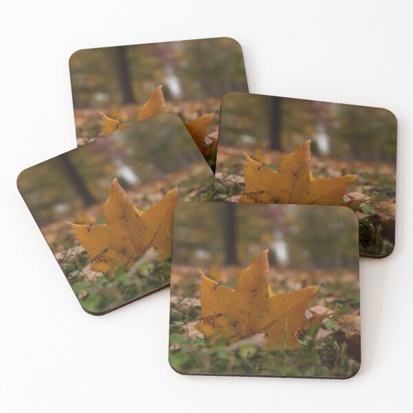 Item preview, Autumn Leaves designed and sold by TinyCameraNinja.