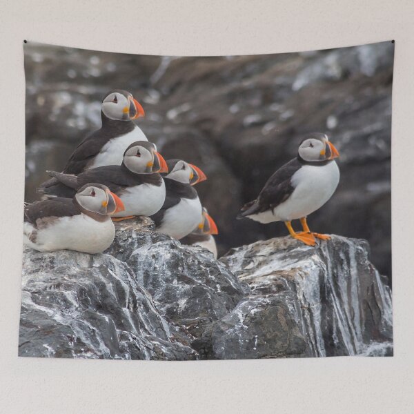 Item preview, Beautiful Wildlife ocean puffin birds designed and sold by HaleyRedshaw.