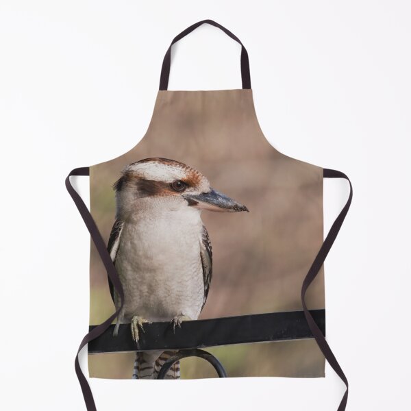 Item preview, Kookaburra sitting on a fence photo in the late evening. designed and sold by hendrikspix.