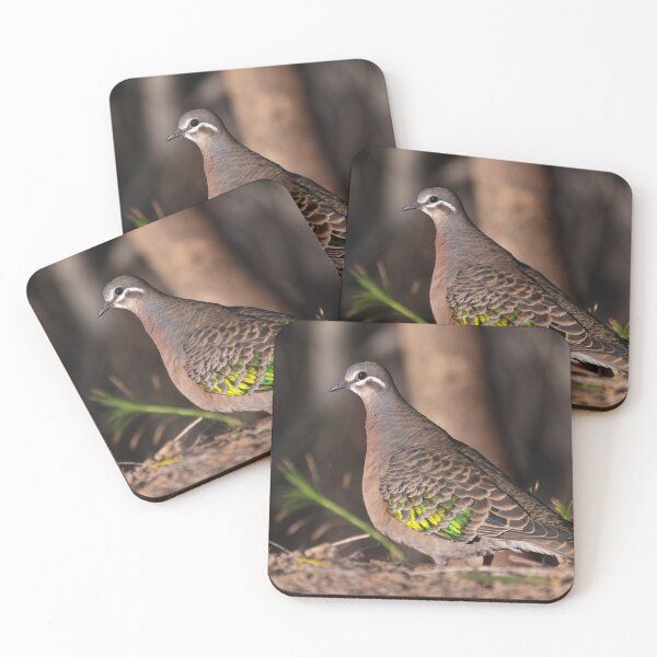 Item preview, Female bronzewing dove designed and sold by hendrikspix.