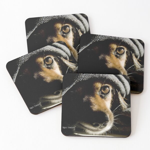 Item preview, Leela (hidden dog) designed and sold by SrCthulhu.