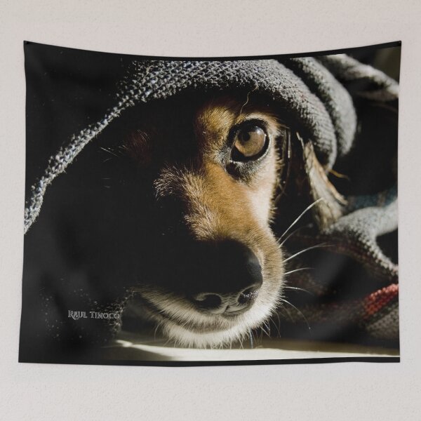 Item preview, Leela (hidden dog) designed and sold by SrCthulhu.