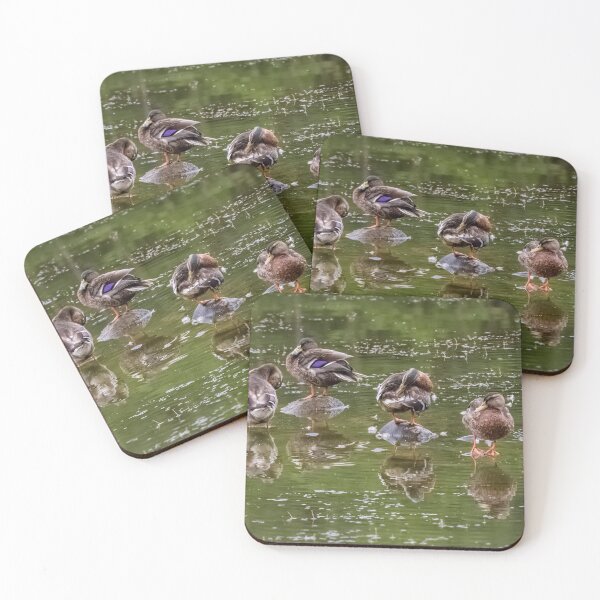 Item preview, Bathing ducks designed and sold by HaleyRedshaw.