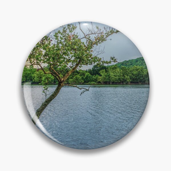 Artikelvorschau, Krummer Baum am Table Rock Lake entworfen und verkauft von mljdwhite.