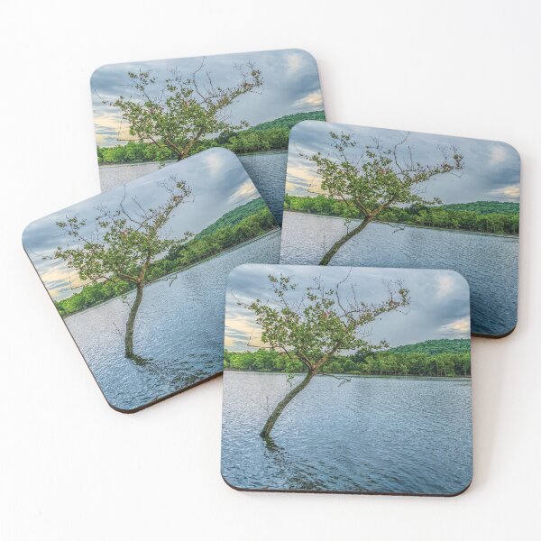 Item preview, Árbol torcido en el lago Table Rock designed and sold by mljdwhite.
