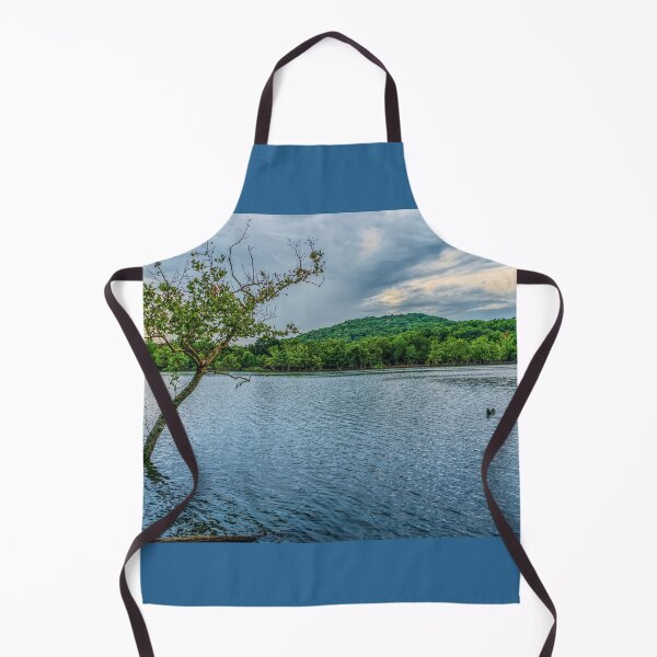 Item preview, Árbol torcido en el lago Table Rock designed and sold by mljdwhite.