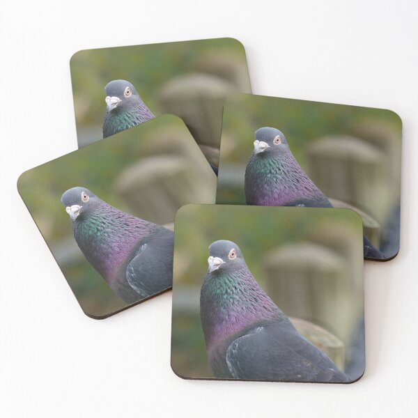 Item preview, Beautiful extreme close up of a rock dove male in stunning detail designed and sold by hendrikspix.