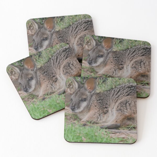 Artikelvorschau, Nahaufnahmefoto eines Tammar Wallaby entworfen und verkauft von hendrikspix.