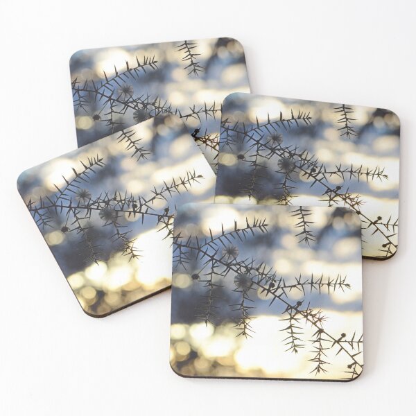 Item preview, Prickly Moses at Dusk designed and sold by Cloudlingpics.
