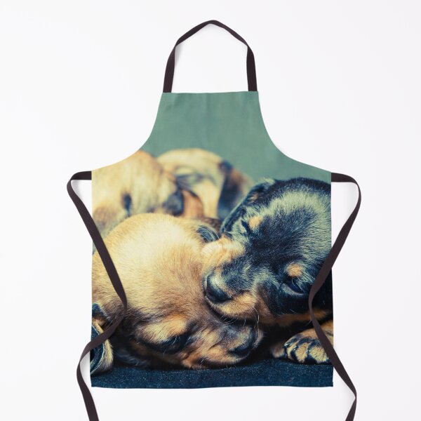Item preview, Adorable Dachshund Puppies designed and sold by srgreen.