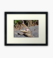 Say Ahhhhhh Framed Print
