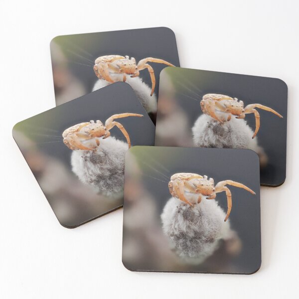 Item preview, Macro photo of a crab spider designed and sold by hendrikspix.