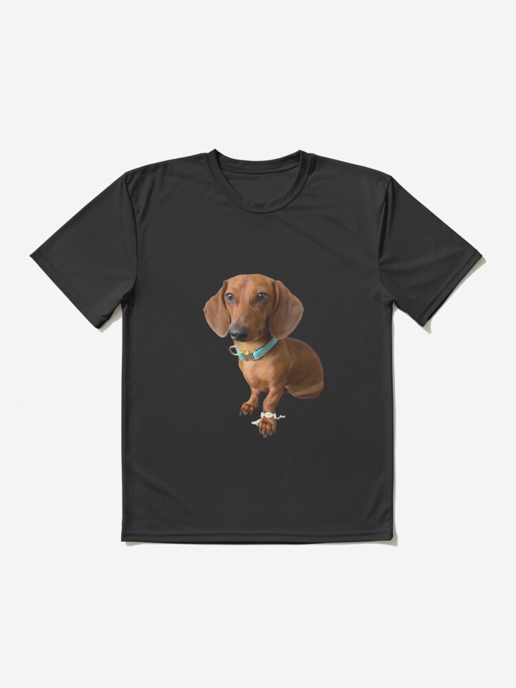 Kevin Rizzo Dachshund Dog shirt, hoodie, sweater and long sleeve