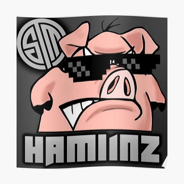 TSM Hamlinz - Fortnite Poster