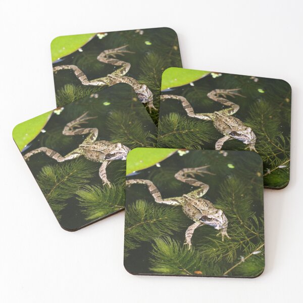 Item preview, Common Frog designed and sold by Steven Allain.