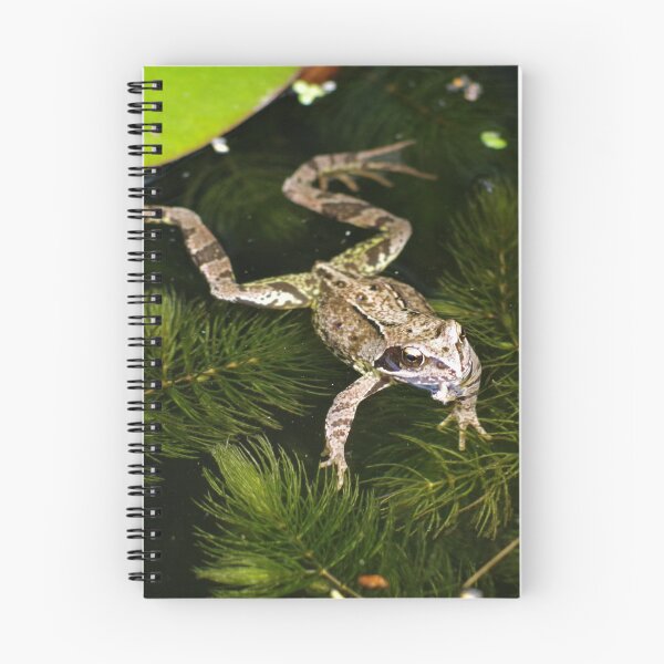 Item preview, Common Frog designed and sold by Steven Allain.