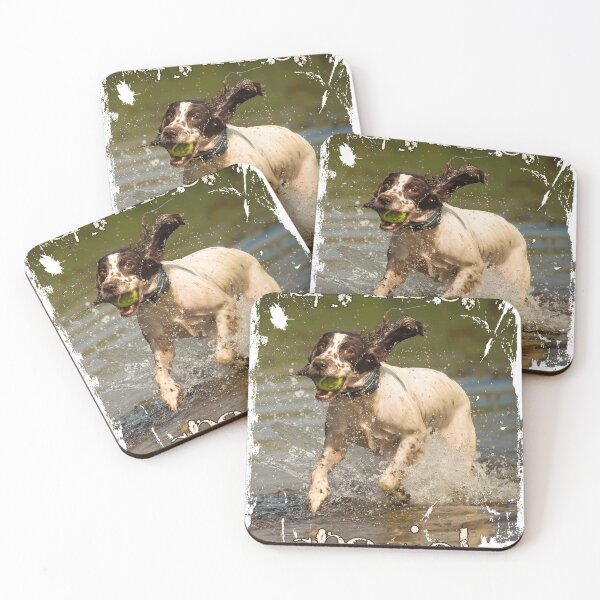 Item preview, Cool English Springer spaniel pup in water photo designed and sold by bdws.