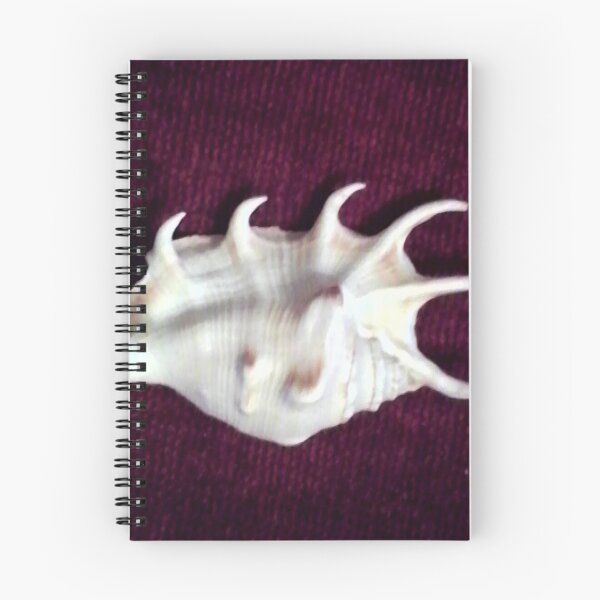 Item preview, white shell designed and sold by damronart.