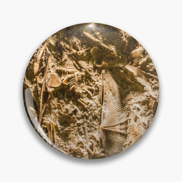 Item preview, Fossils designed and sold by srgreen.