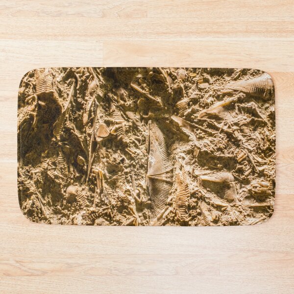 Item preview, Fossils designed and sold by srgreen.