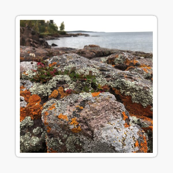 Item preview, Rocks and Lichen designed and sold by Rachel Imsland.