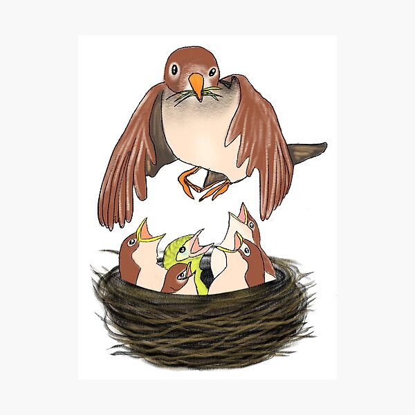Item preview, Love and care extension - bird feeding designed and sold by MANUMONY.