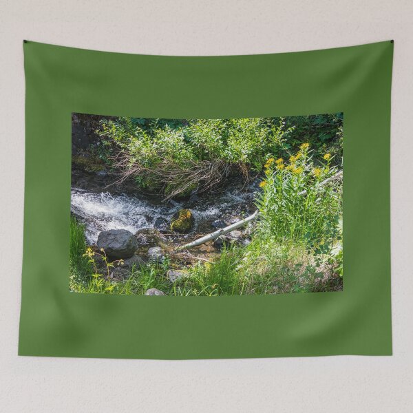 Item preview, Following Goose Creek Red River New Mexico by Debra Martz designed and sold by Debra Martz.