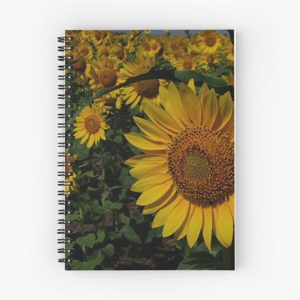 Item preview, Sunflower designed and sold by AravindTeki.