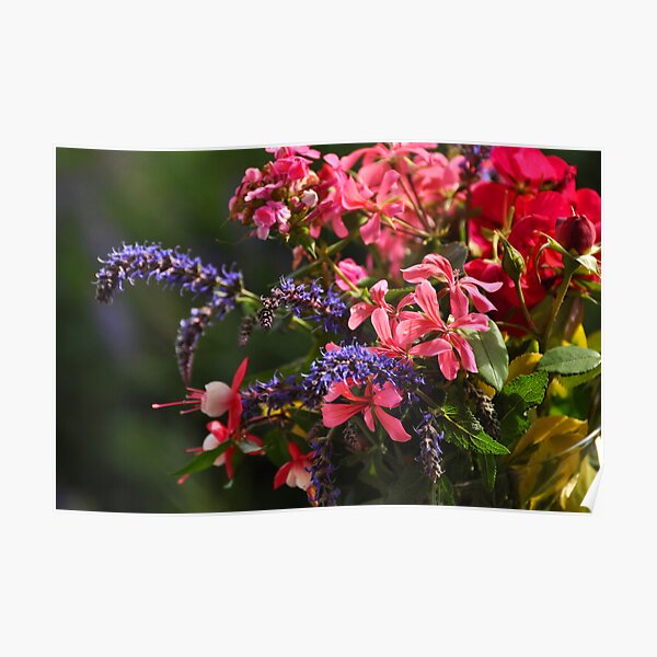 Riot of Color Bouquet Poster