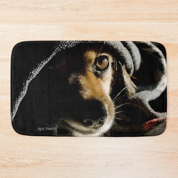 Item preview, Leela (hidden dog) designed and sold by SrCthulhu.