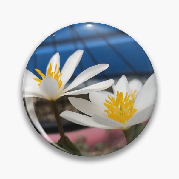 Item preview, Bloodroot and Bike Wheel designed and sold by Rachel Imsland.